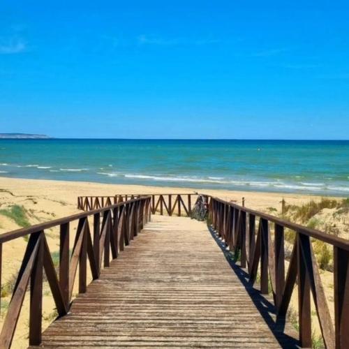 Pulau Playa, Guardamar del Segura – Precios actualizados 2023