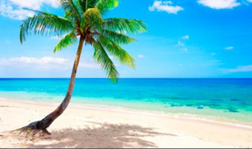 Nice 2P Vue Mer- 5min plage, Terrasse, AC, Parking