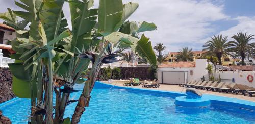 Sea View Apartment in Center of Las Americas, Playa de las ...