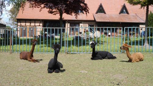 Familie Brückner
