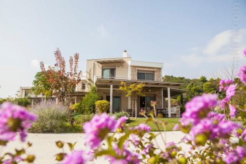 Ammouda Villas
