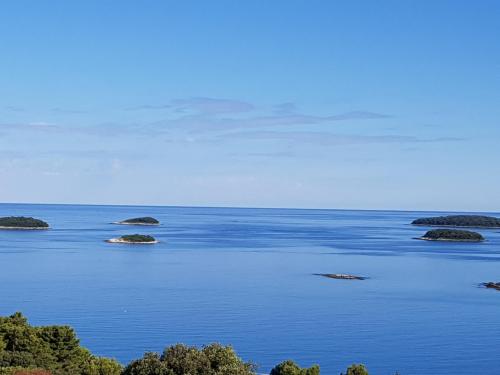 Marjan