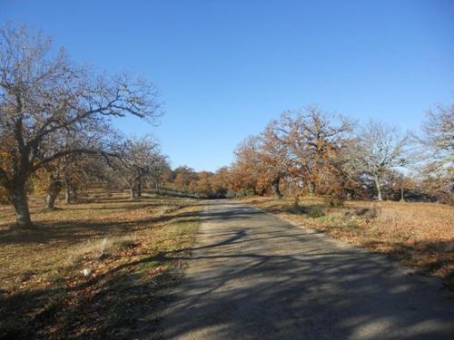 Caminho da quinta