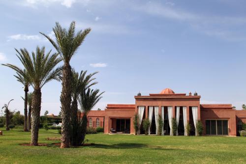 dar kamango