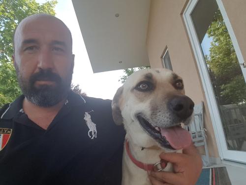 Dimitrios Dimopoulos