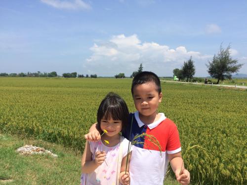 Maison Vu Tri Vien Homestay