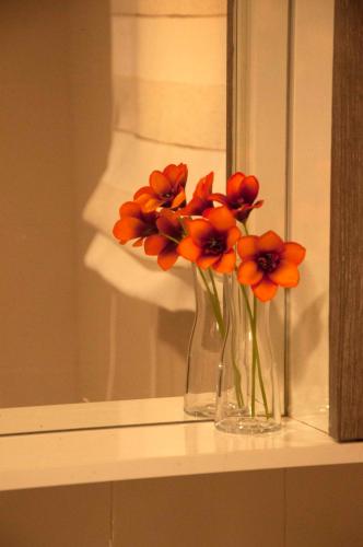 Detalle de la casa