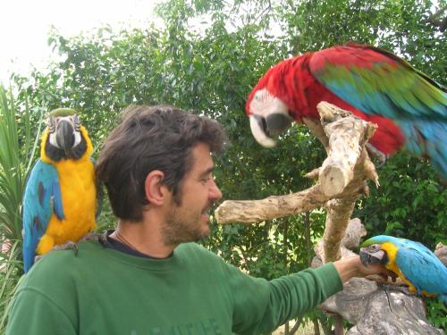 Marco Mattioli