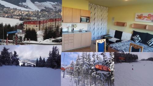 Apartmán Alfa