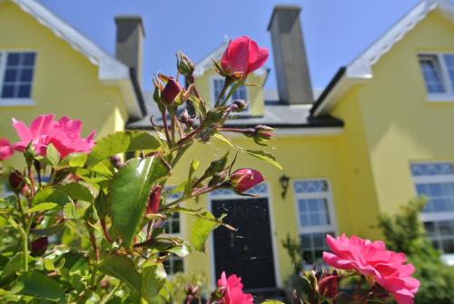 Drumcreehy Country House
