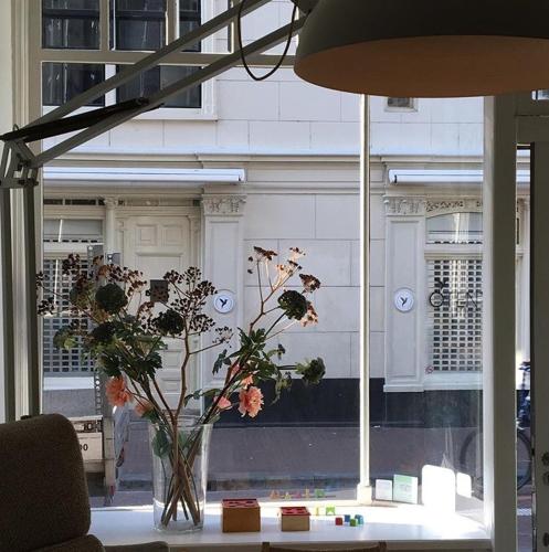 Miauw Suites