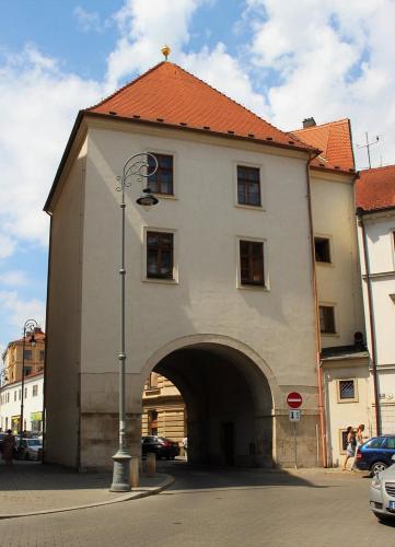 Rooms Novobranská-Orlí