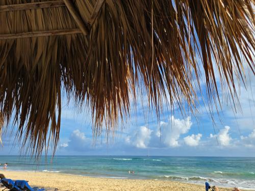 549 Verified Reviews of Ocean el Faro Resort - All Inclusive | Booking.com