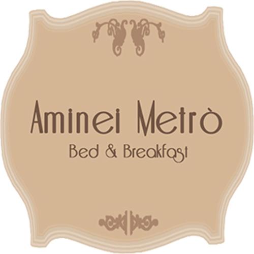 Logo AmineiMetro