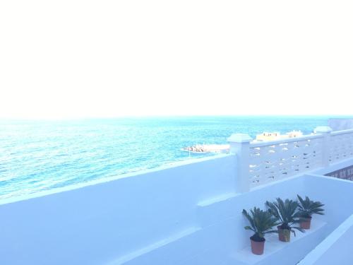 La Terraza de Juana, Santa Cruz de la Palma – Precios 2022 ...