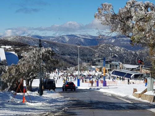 Alpine Holiday Rentals