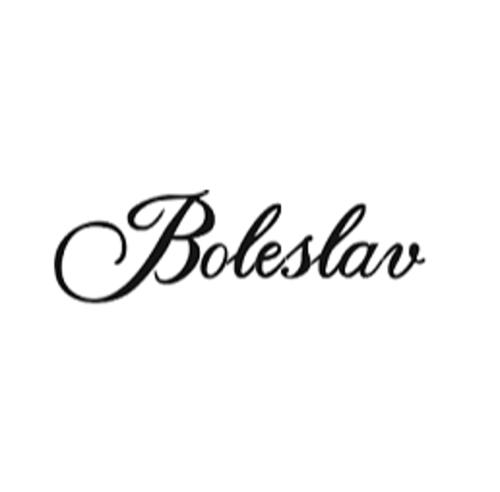 Noclegi Boleslav