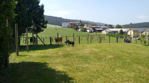 Country House Casa Aurora, Navia, Spain - Booking.com