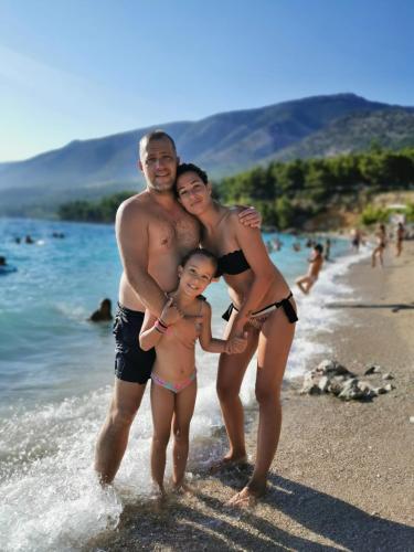 Family Anibalović
