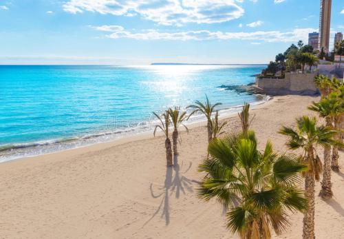 Amor de Helene, Alicante – Precios actualizados 2022