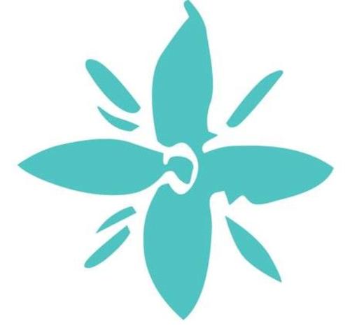 Oazure Ltd.