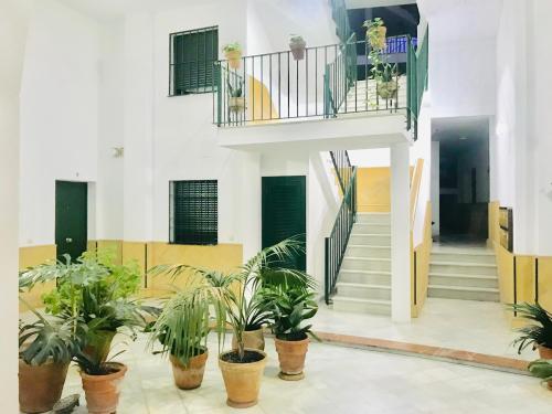LOS PATIOS DE LA JUDERIA, Sevilla – Precios actualizados 2023