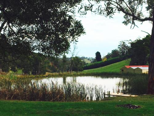 Gracefield