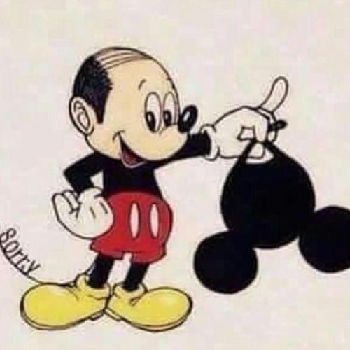 Disney Area
