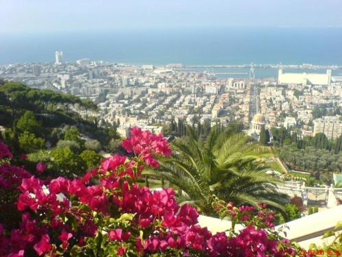 Haifa.