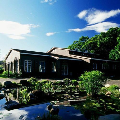河岸森林林小姐