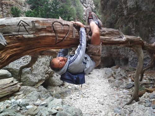 Stelios