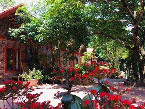 Tam Coc friendly homestay (Năm Nam)