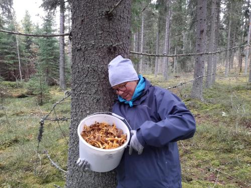 Emantä Tarja