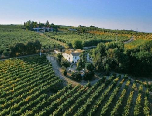 Finca Buytrón, S.L.