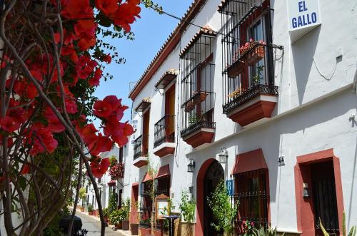 Hostal El Gallo, Marbella – Updated 2022 Prices
