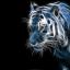 Blue_tiger